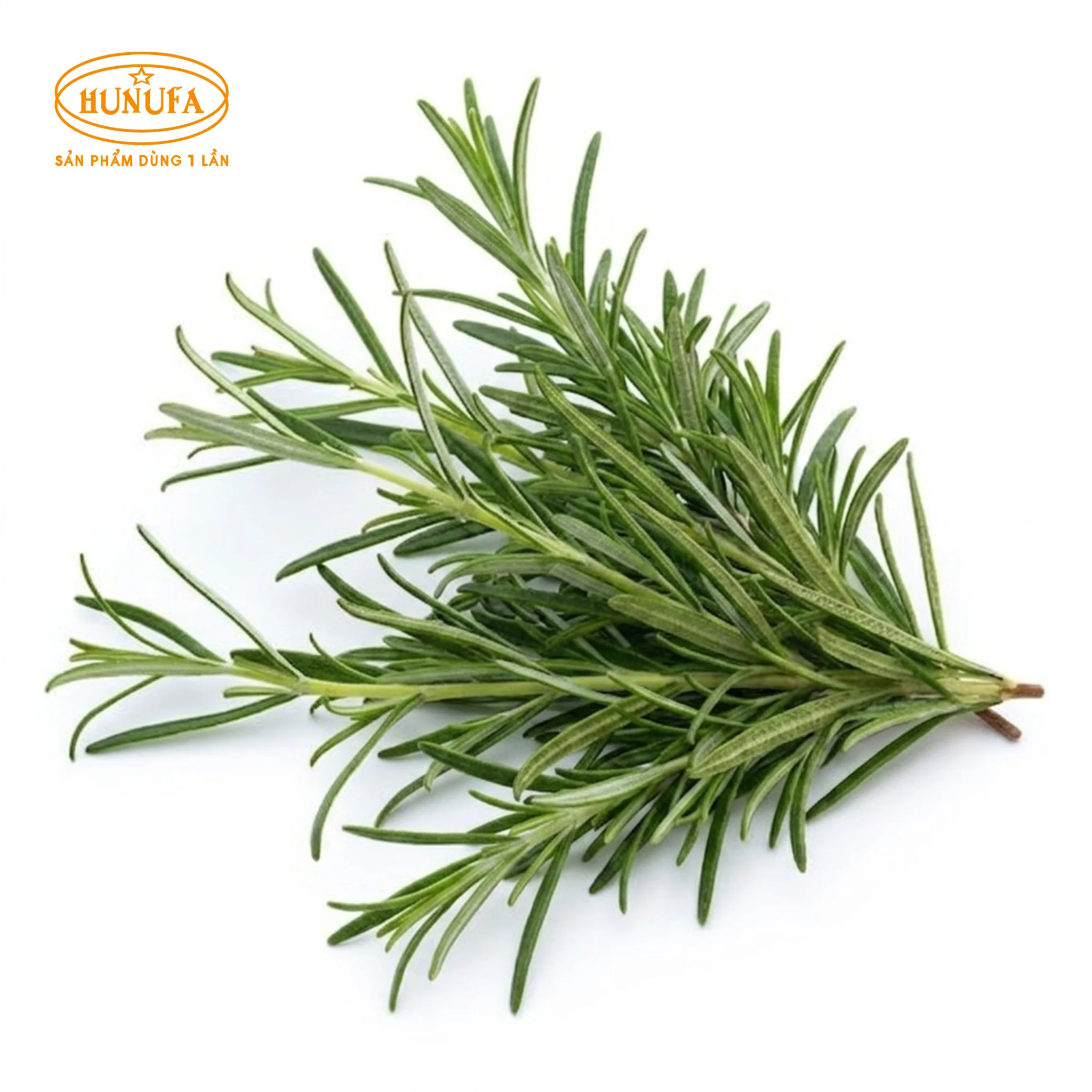 Tổng hợp các loại lá decor đồ uống phổ biến được quán cafe ưa chuộng