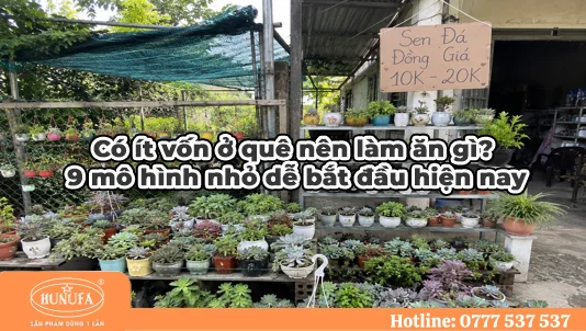 vốn 5 triệu ở nông thôn nên kinh doanh gì